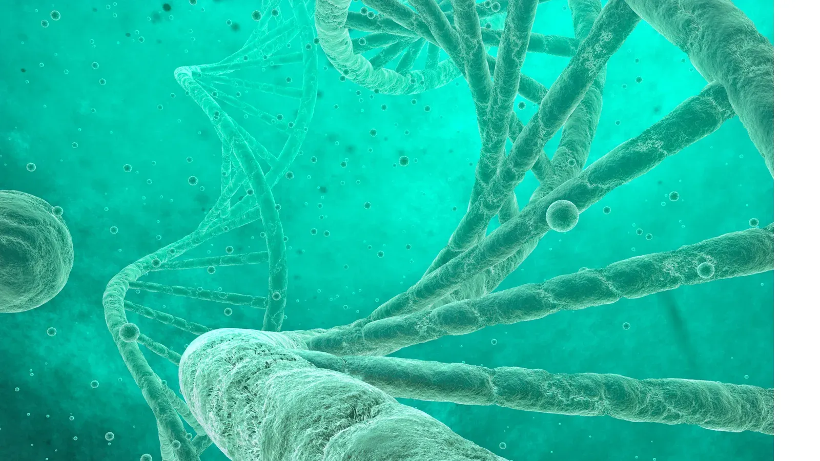 Green double-helix DNA strands rendered against a dark background.